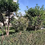 Lavender House In Kiparissia Apartment Kyparissia