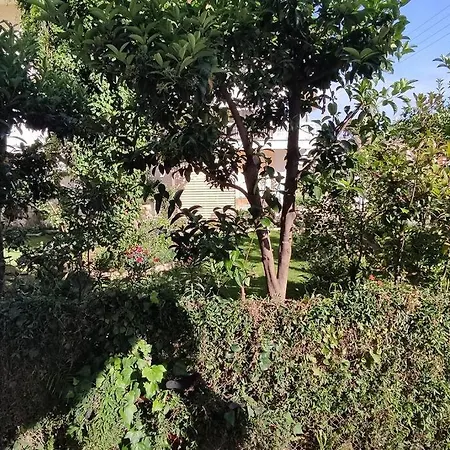 Lavender House In Kiparissia Apartament *
