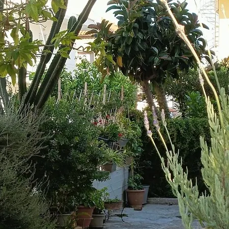 Lavender House In Kiparissia *