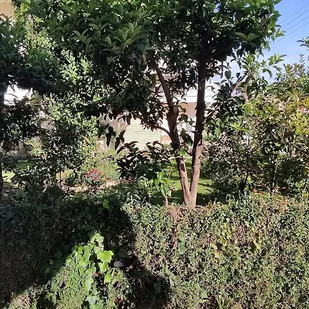 Lavender House In Kiparissia * Kyparissia